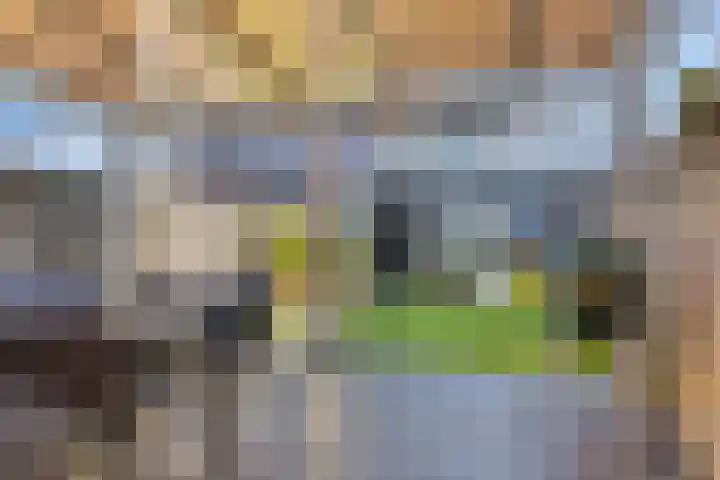 de Lingert 6217 Wijchen thumbnail 19