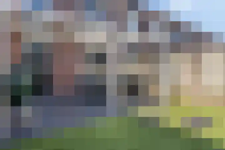 de Lingert 6217 Wijchen thumbnail 21