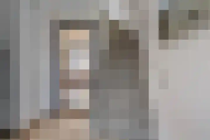 de Lingert 6217 Wijchen thumbnail 9