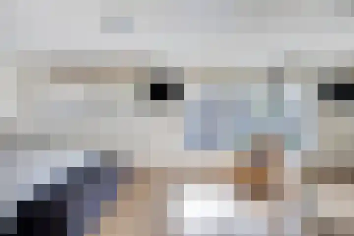 de Lingert 6220 Wijchen thumbnail 15