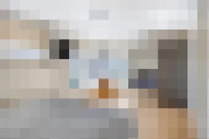 de Lingert 6220 Wijchen thumbnail 17
