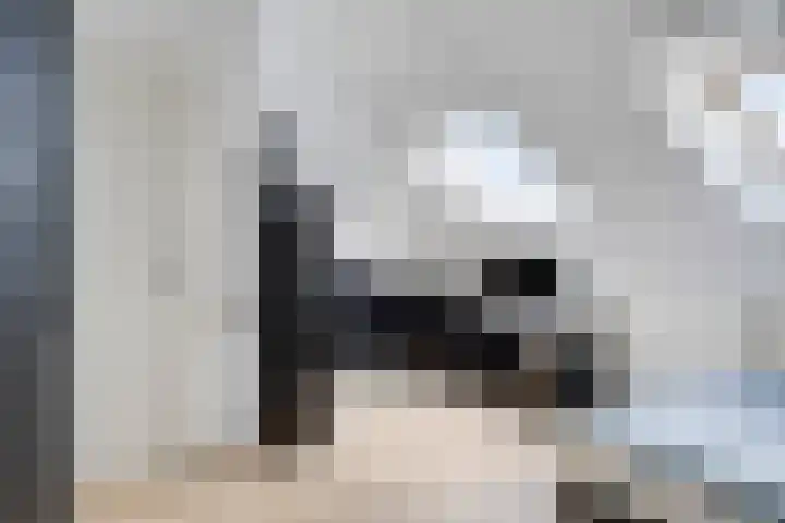 de Lingert 6220 Wijchen thumbnail 23