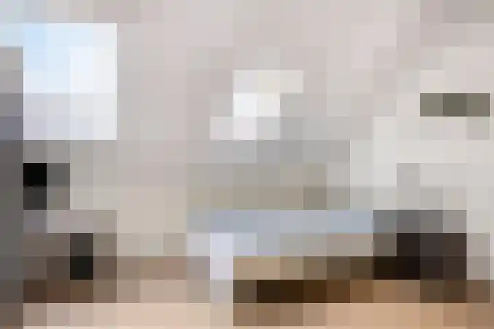 de Lingert 6220 Wijchen thumbnail 24