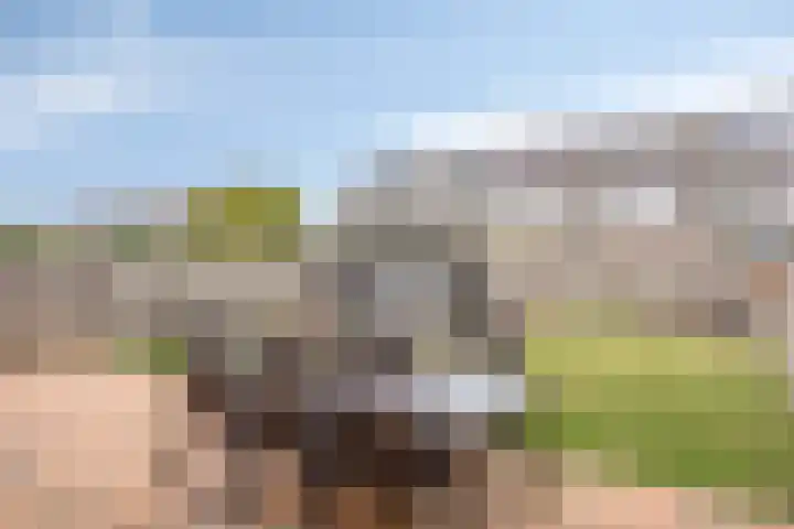 de Lingert 6220 Wijchen thumbnail 29
