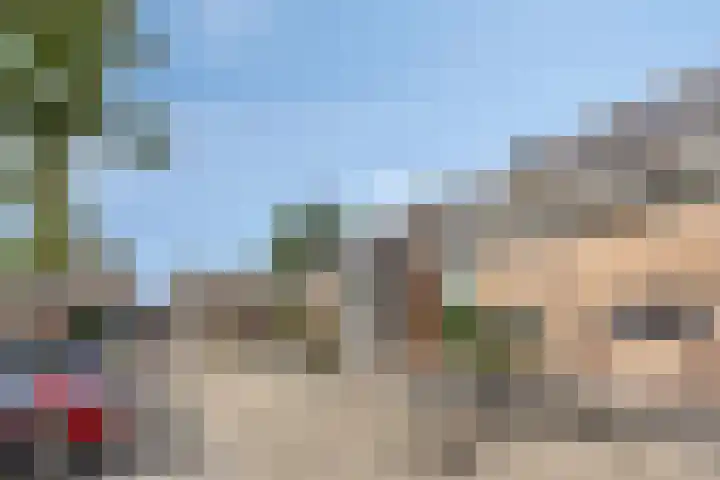 de Lingert 6220 Wijchen thumbnail 6