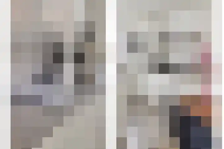 de Lingert 6227 Wijchen thumbnail 10