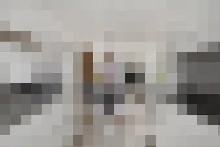de Lingert 6227 Wijchen thumbnail 11