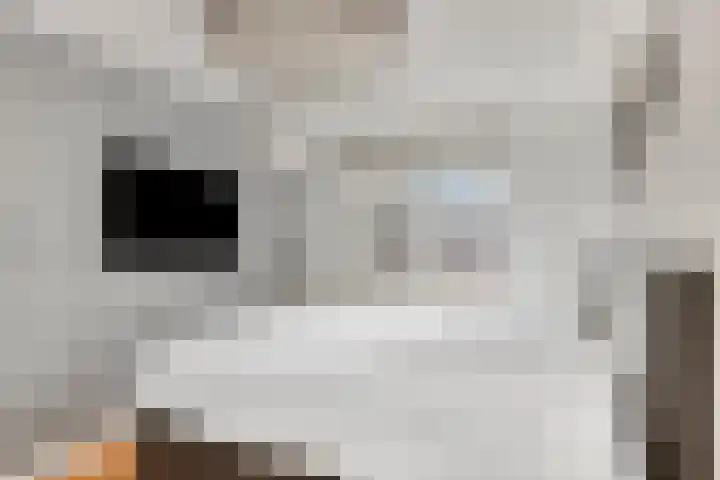 de Lingert 6227 Wijchen thumbnail 15