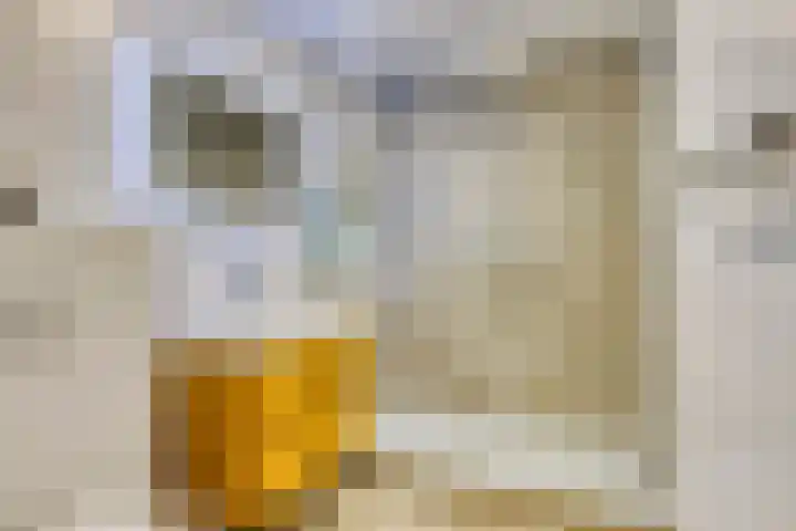 de Lingert 6227 Wijchen thumbnail 17