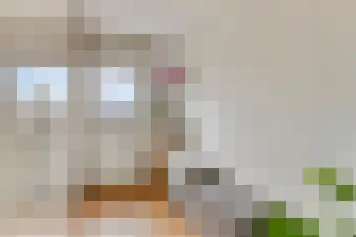 de Lingert 6227 Wijchen thumbnail 19