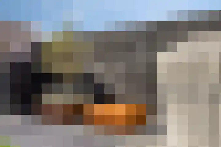 de Lingert 6227 Wijchen thumbnail 24