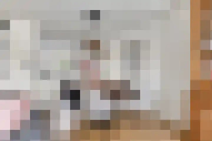 de Lingert 6227 Wijchen thumbnail 7