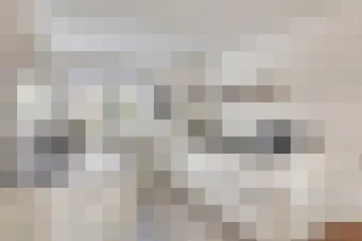 de Lingert 6227 Wijchen thumbnail 8
