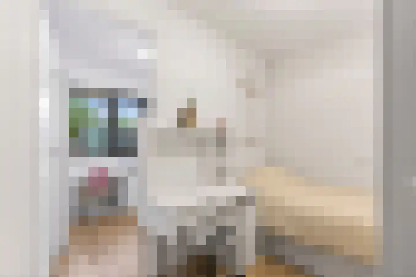 de Lingert 6311 Wijchen thumbnail 14