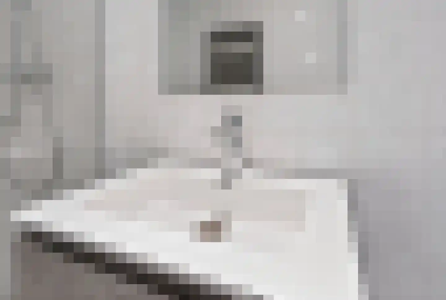 de Lingert 6311 Wijchen thumbnail 18