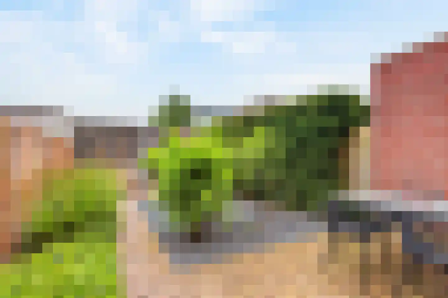 de Lingert 6311 Wijchen thumbnail 7