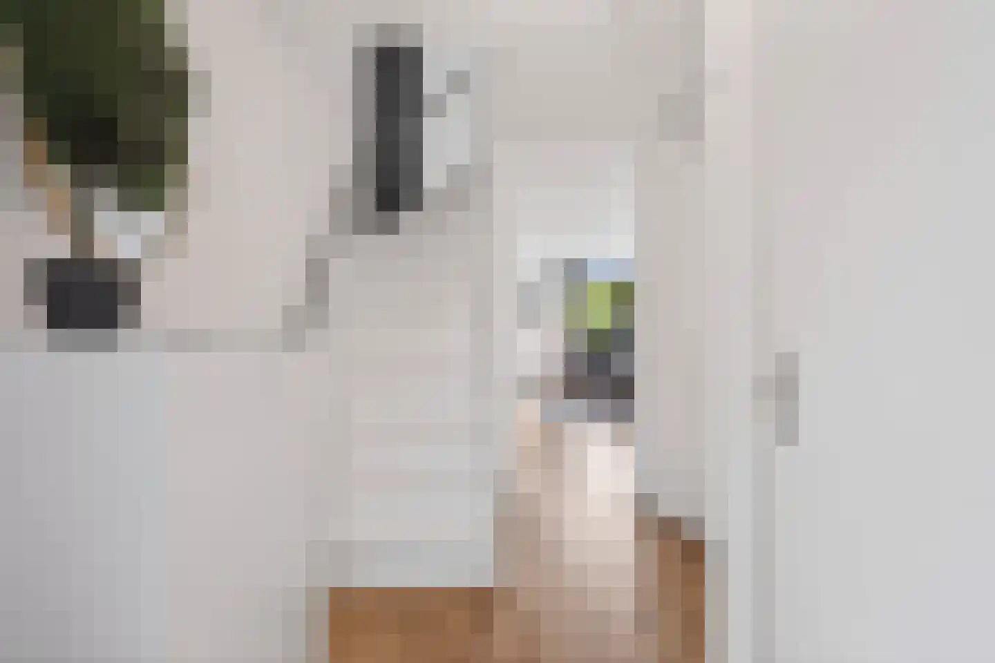 de Lingert 6311 Wijchen thumbnail 9