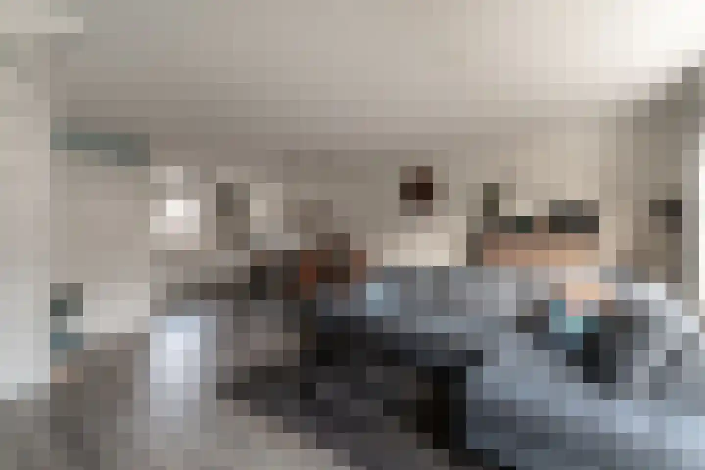 de Lingert 6445 Wijchen thumbnail 10