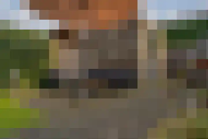 de Lingert 6445 Wijchen thumbnail 13