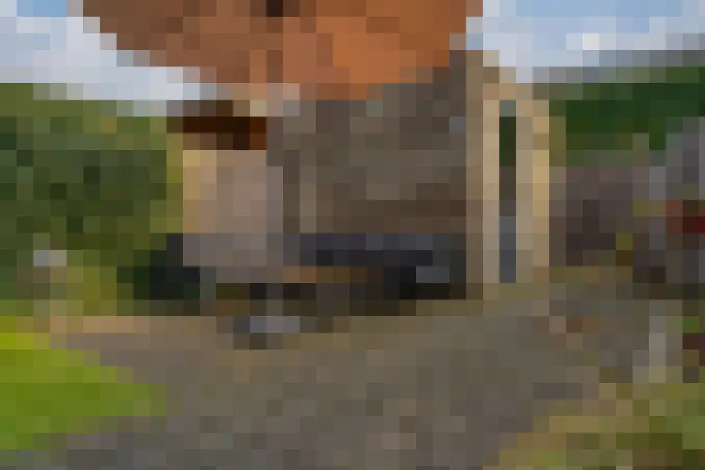 de Lingert 6445 Wijchen thumbnail 13