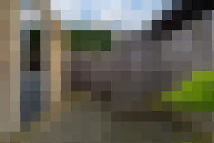 de Lingert 6445 Wijchen thumbnail 16