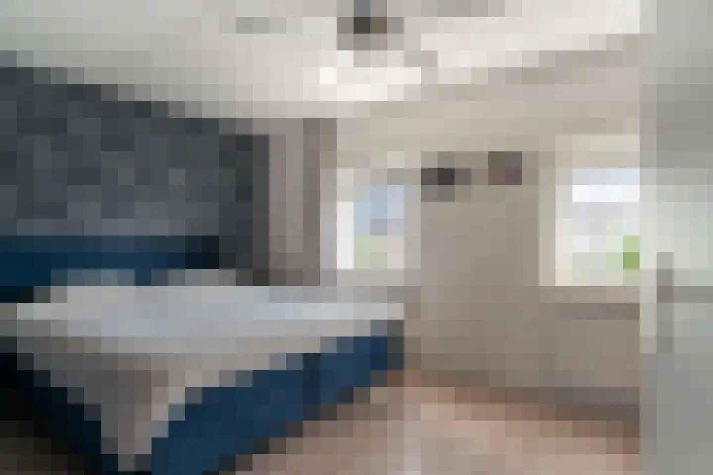 de Lingert 6445 Wijchen thumbnail 17