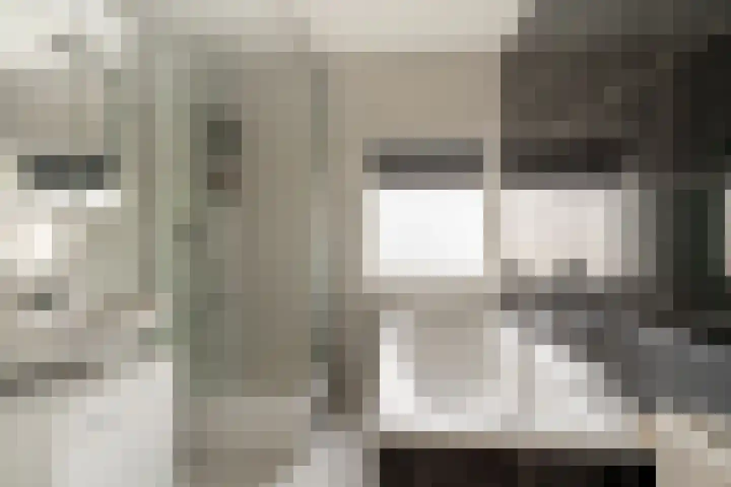 de Lingert 6445 Wijchen thumbnail 19