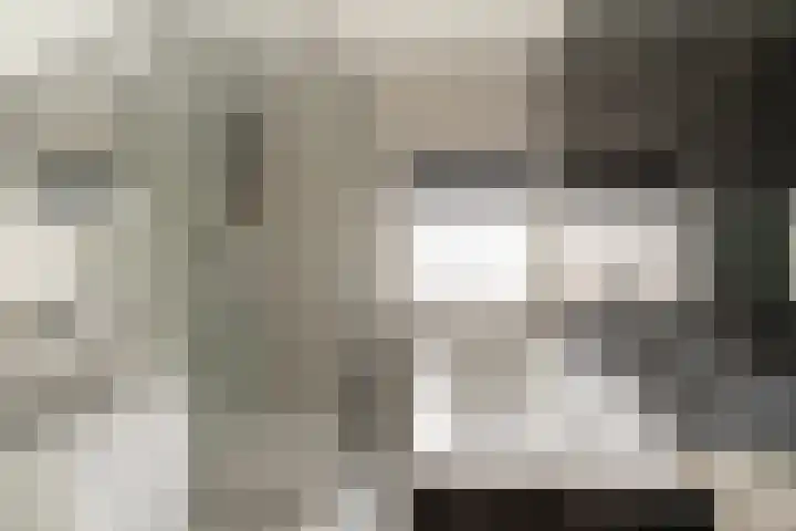 de Lingert 6445 Wijchen thumbnail 19