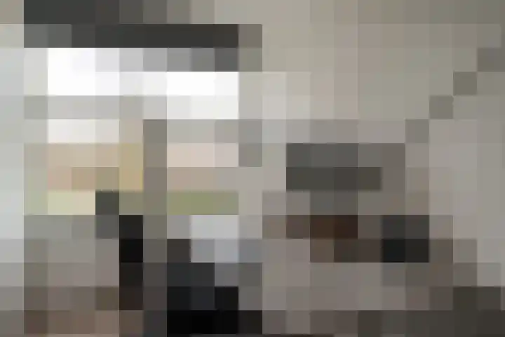 de Lingert 6445 Wijchen thumbnail 26