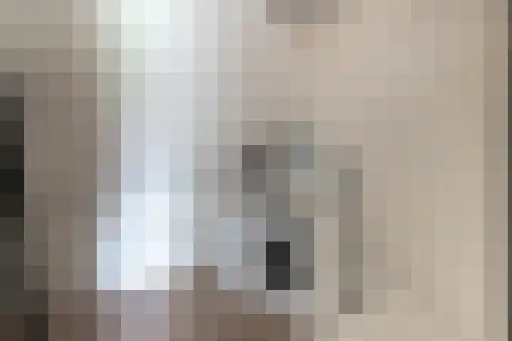 de Lingert 6445 Wijchen thumbnail 27