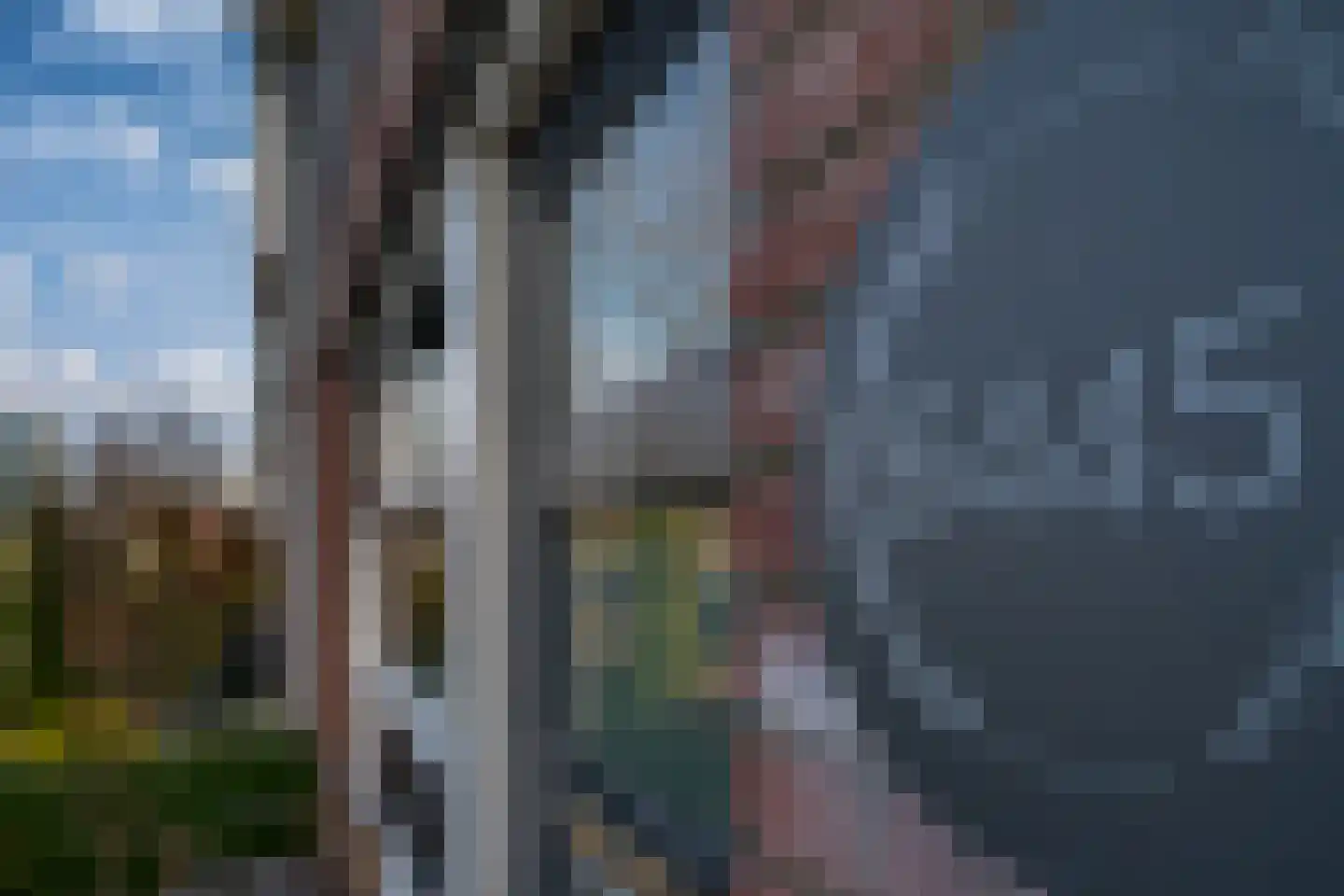 de Lingert 6445 Wijchen thumbnail 28