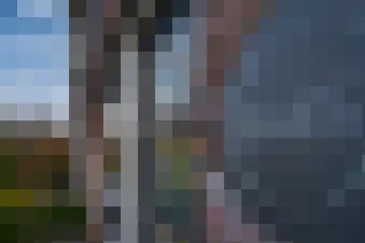 de Lingert 6445 Wijchen thumbnail 28