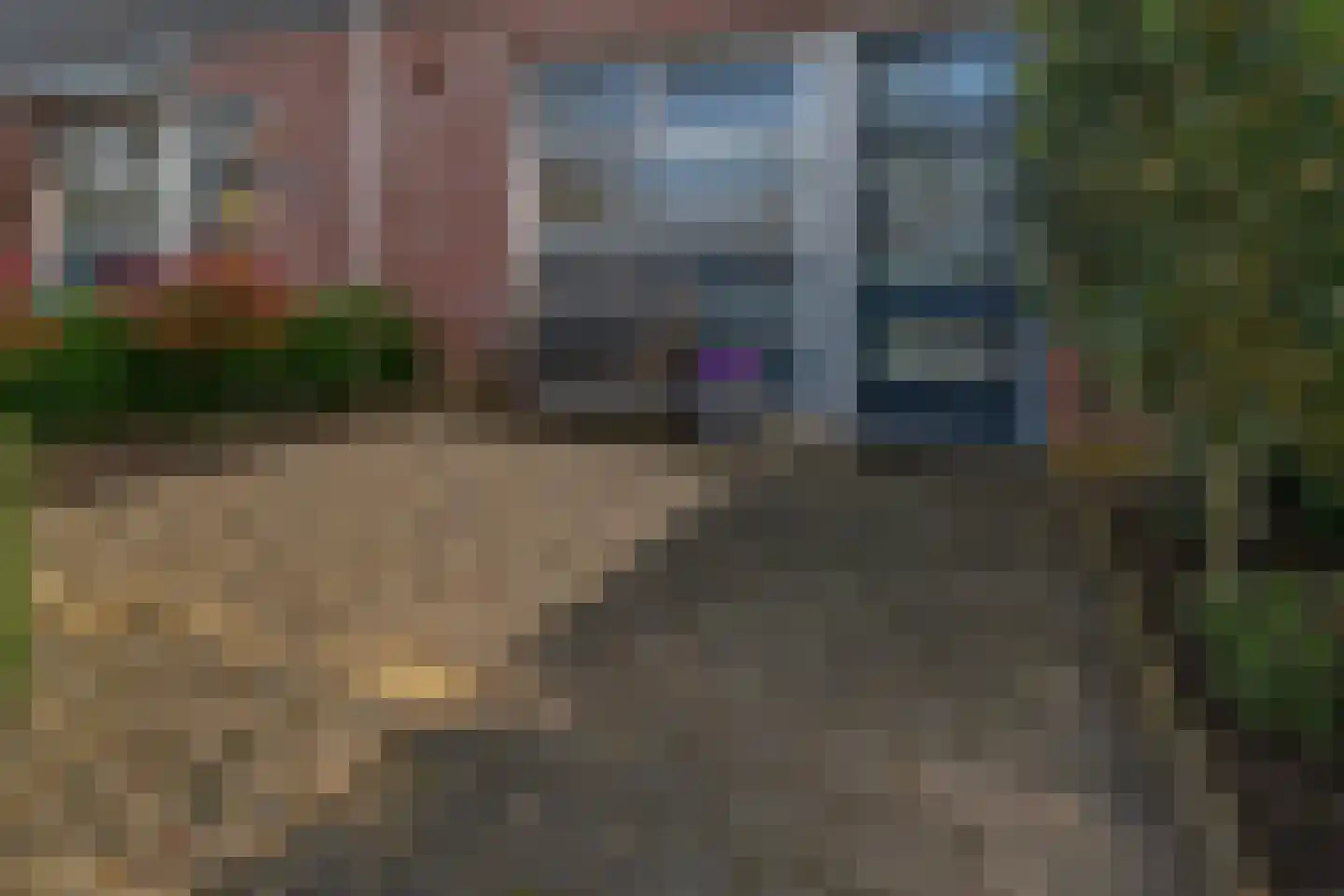 de Lingert 6445 Wijchen thumbnail 29