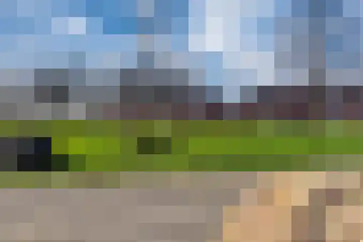 de Lingert 6445 Wijchen thumbnail 32
