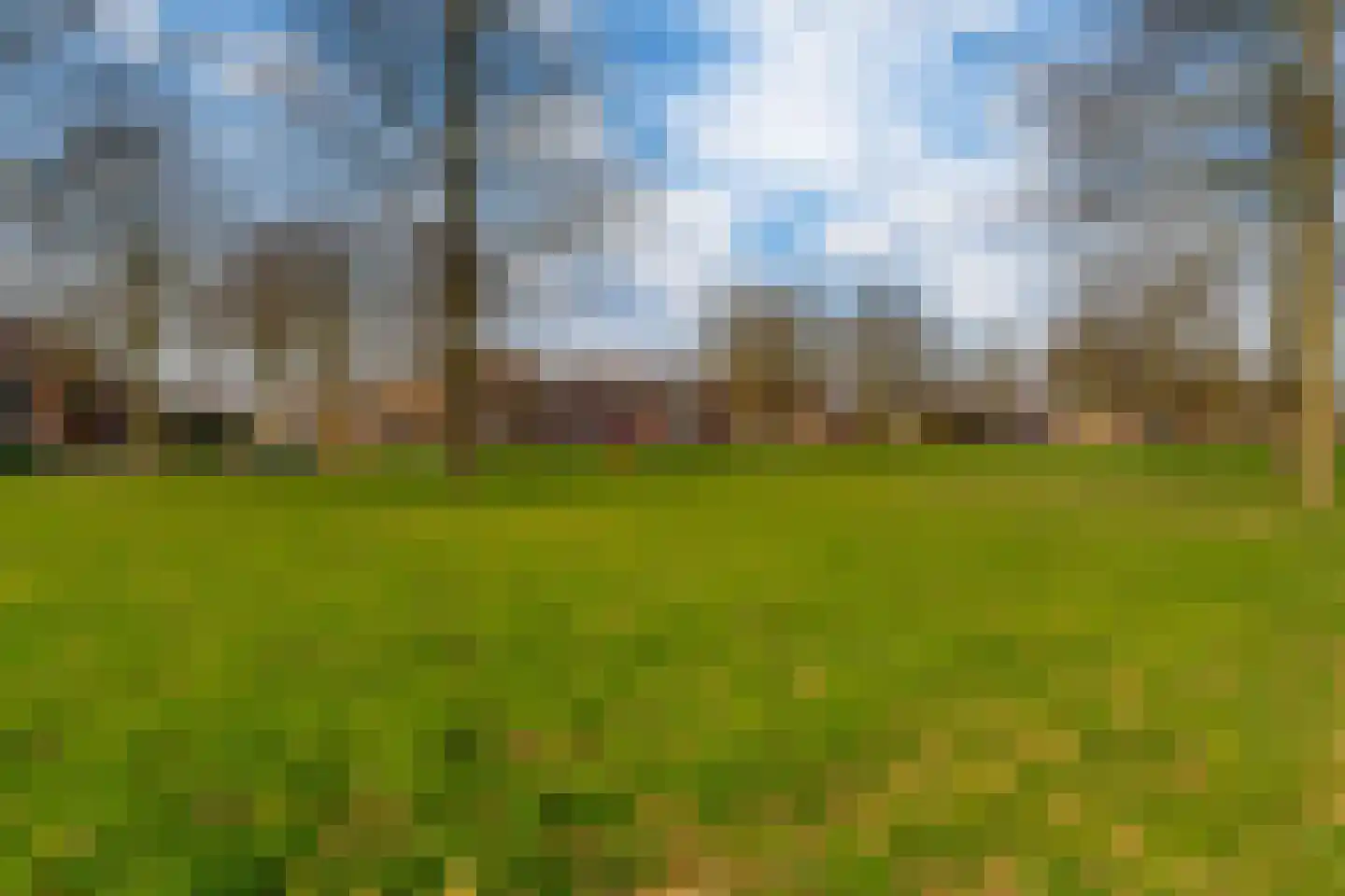 de Lingert 6445 Wijchen thumbnail 33