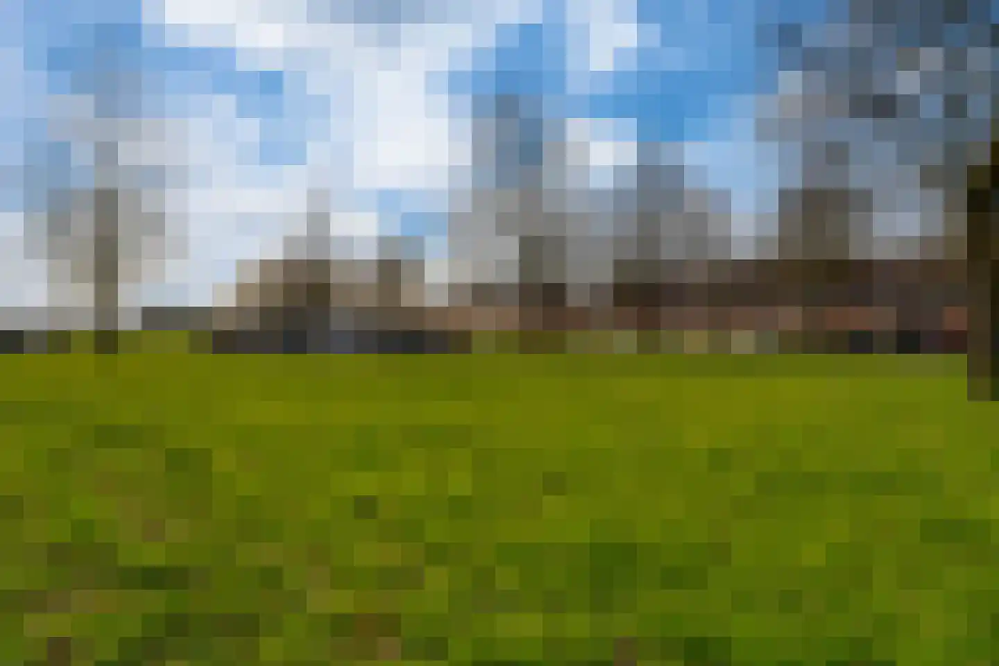 de Lingert 6445 Wijchen thumbnail 34
