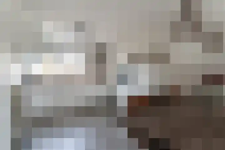de Lingert 6445 Wijchen thumbnail 4