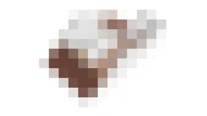 de Lingert 6445 Wijchen thumbnail 42
