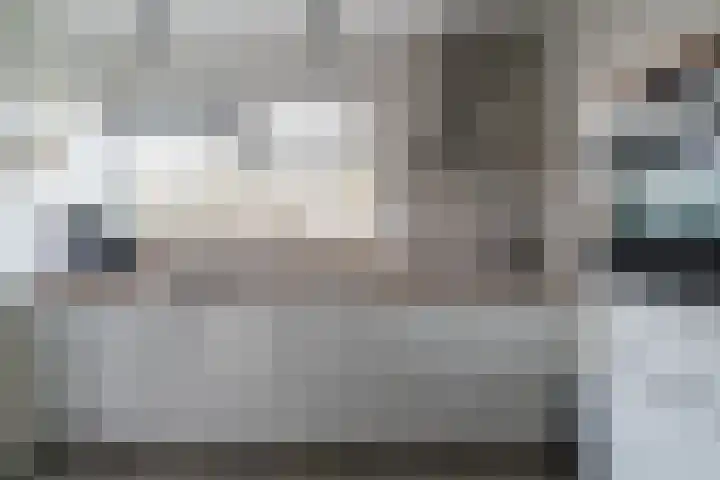 de Lingert 6445 Wijchen thumbnail 5