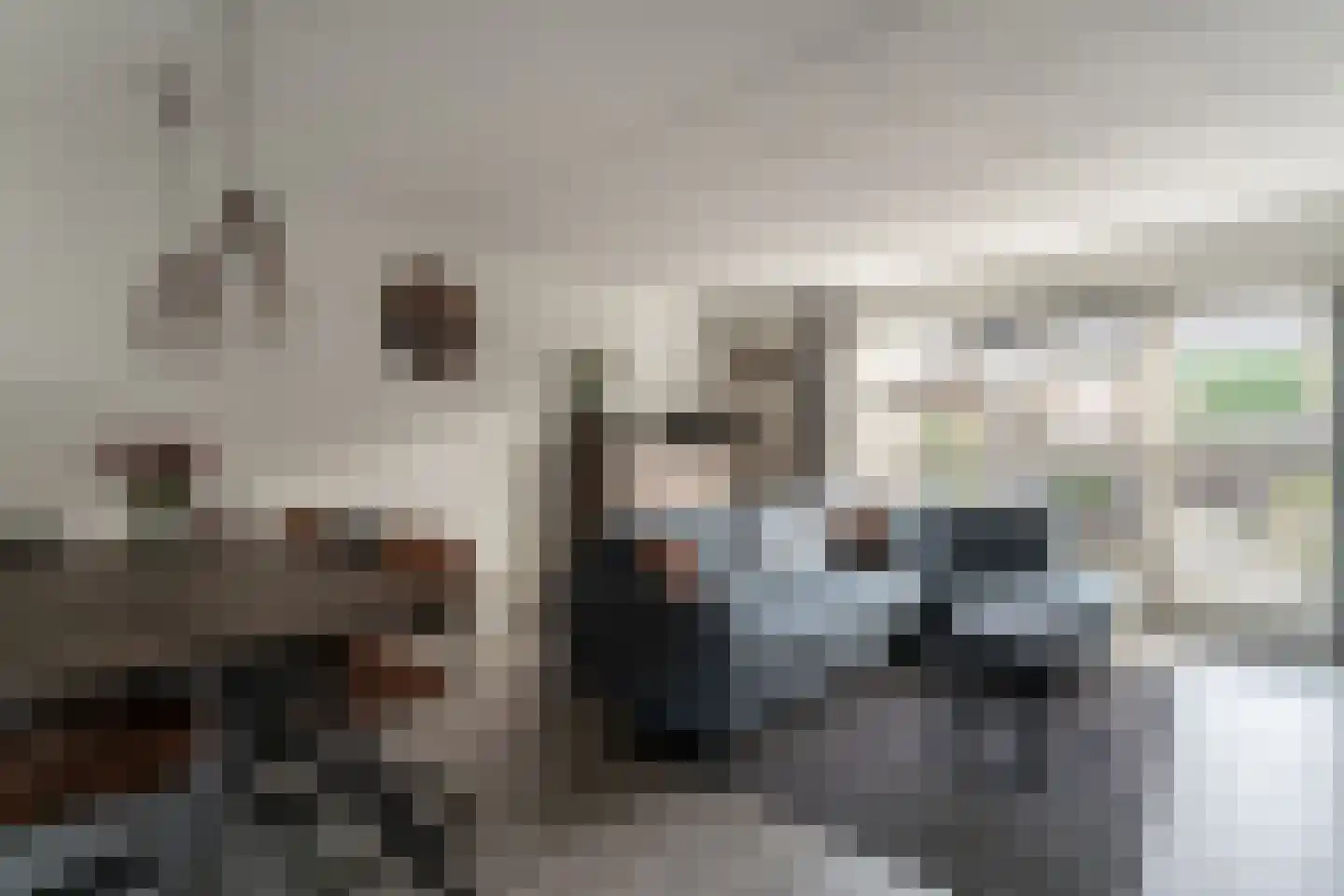 de Lingert 6445 Wijchen thumbnail 8