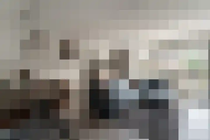 de Lingert 6445 Wijchen thumbnail 8