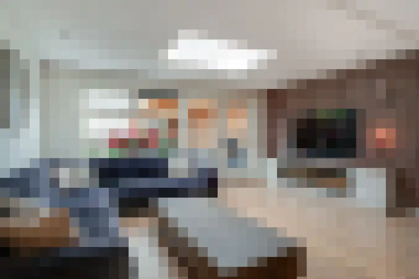 de Lingert 6451 Wijchen thumbnail 14