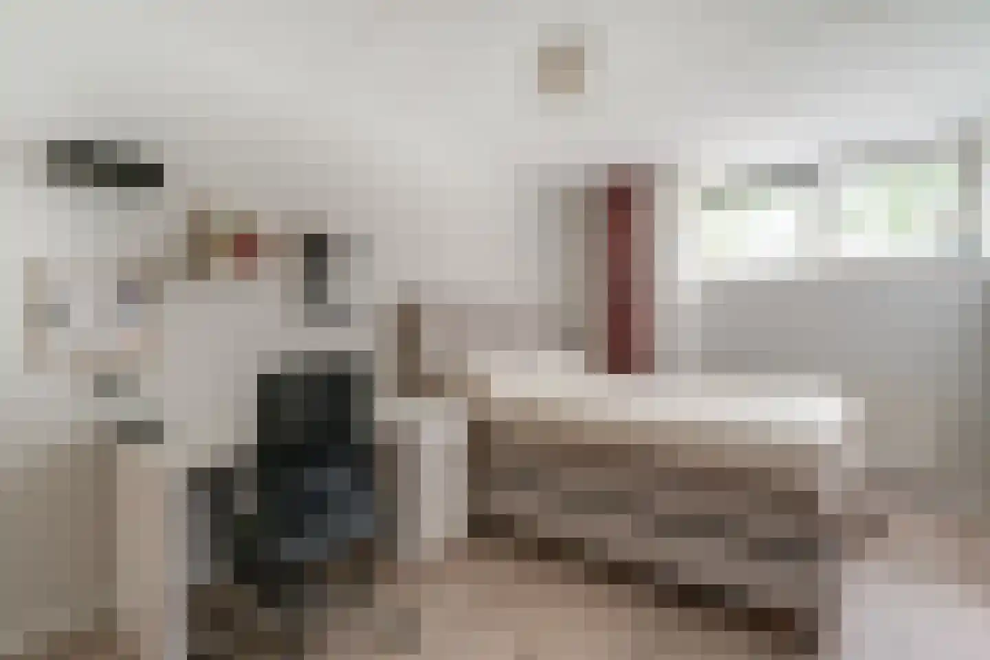 de Lingert 6451 Wijchen thumbnail 29