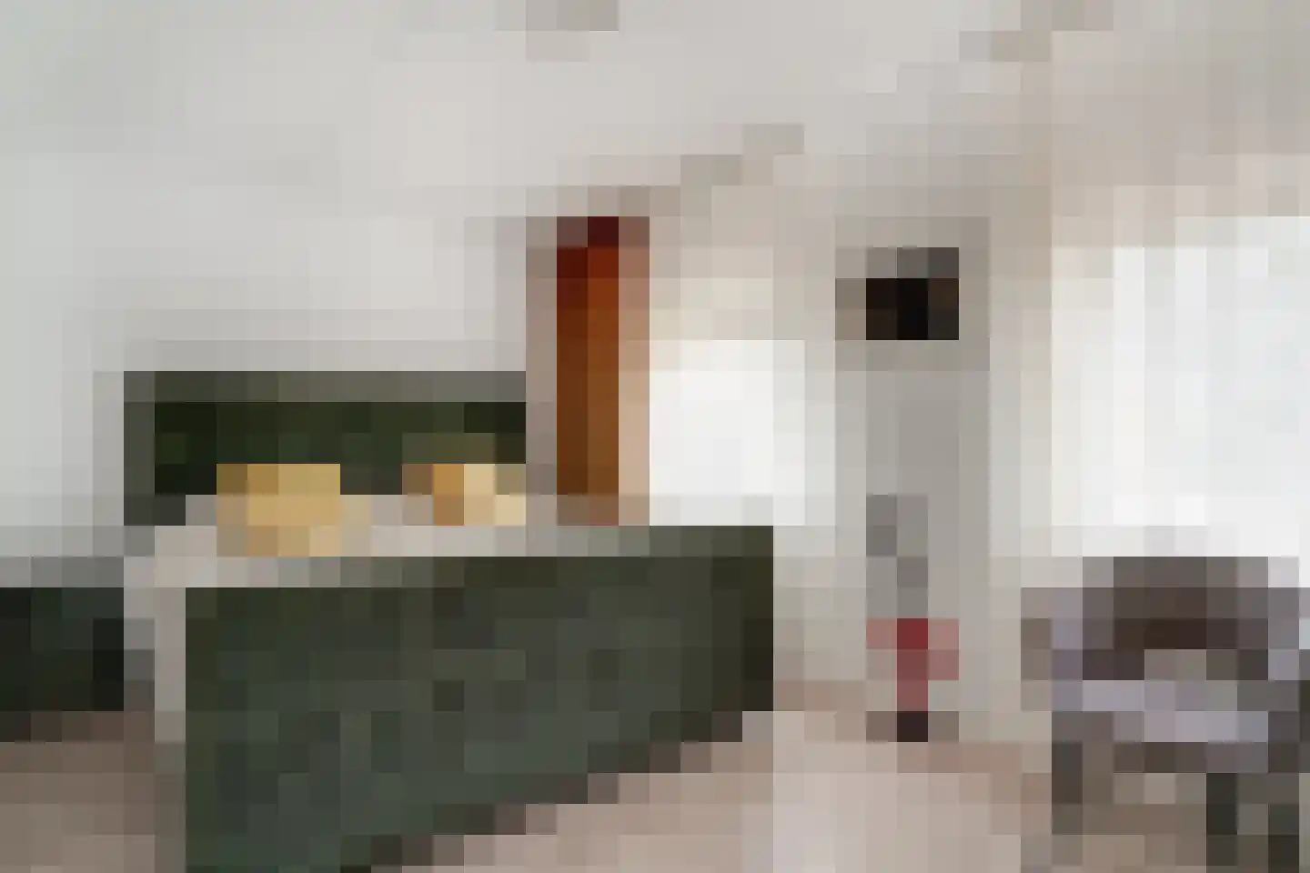 de Lingert 6451 Wijchen thumbnail 31