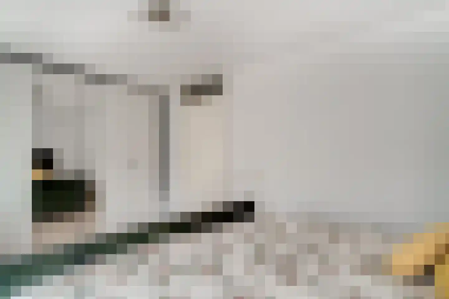 de Lingert 6451 Wijchen thumbnail 33