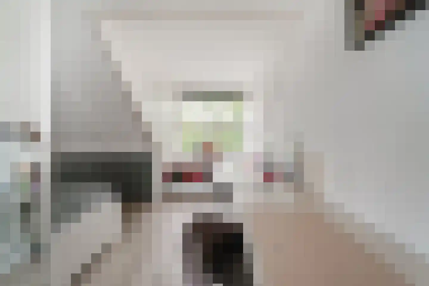 de Lingert 6451 Wijchen thumbnail 34
