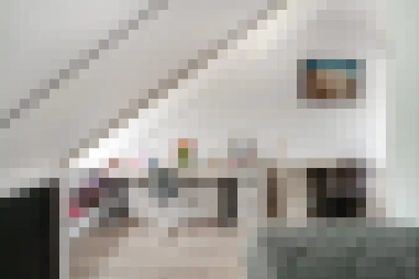 de Lingert 6451 Wijchen thumbnail 36