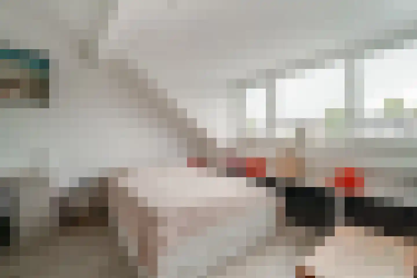 de Lingert 6451 Wijchen thumbnail 39