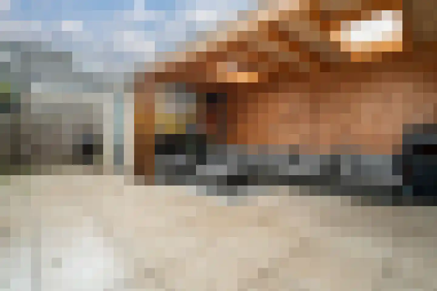 de Lingert 6451 Wijchen thumbnail 43