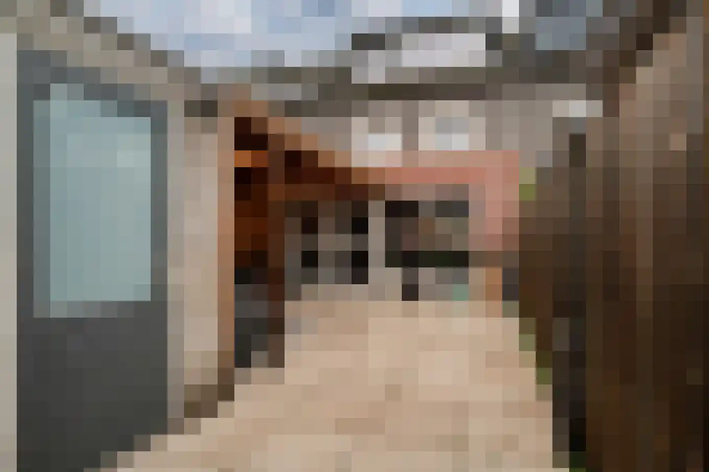 de Lingert 6451 Wijchen thumbnail 44